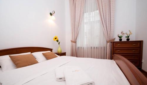 One-Bedroom Apartment on Shota Rustaveli 31b