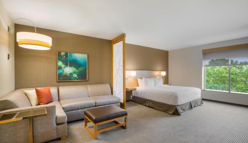 King Room with Roll-In Shower - Disability Access