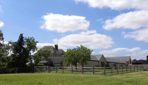 One-Bedroom Cottage