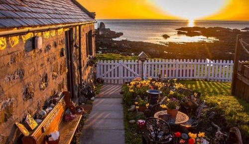 One-Bedroom Cottage