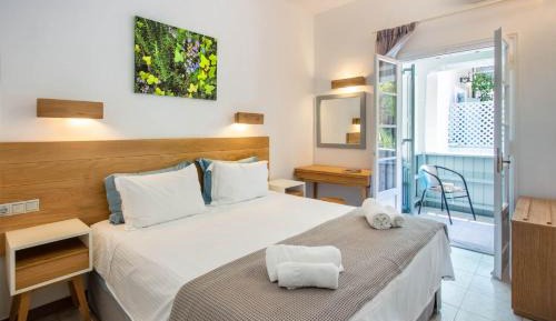 Double Room with Balcony