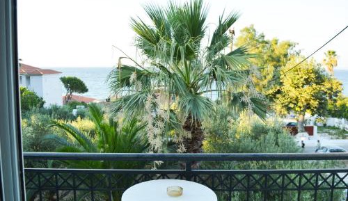 Studio with Garden View