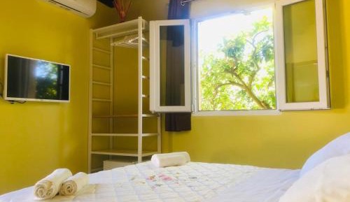 King Room with Garden View