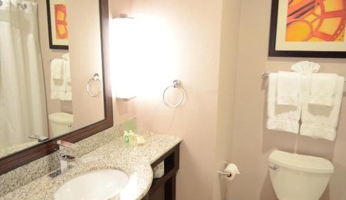 Standard King Room with Roll-In Shower - Communications Access