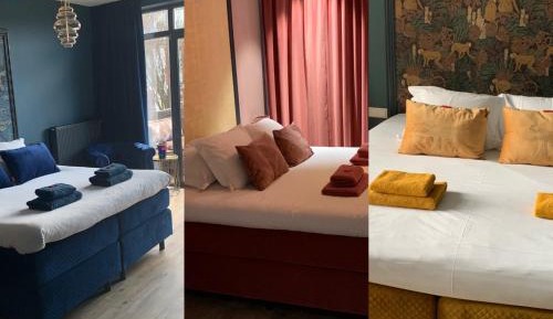 Deluxe King Room