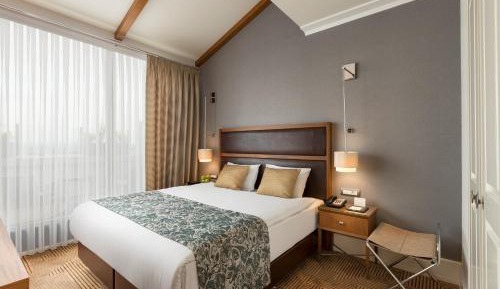 Executive Double Room with Balcony
