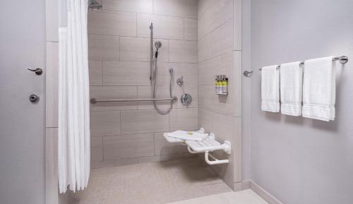 King Room with Hearing Accessible Roll In Shower - Non-Smoking
