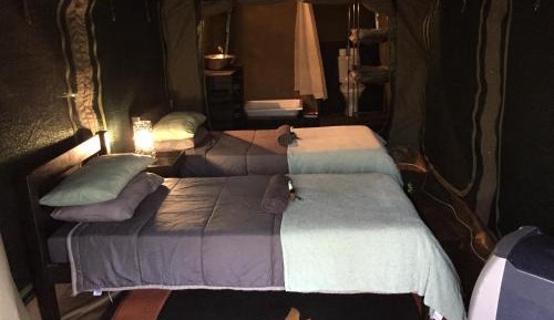 Tent