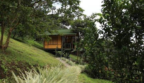 Family Bungalow
