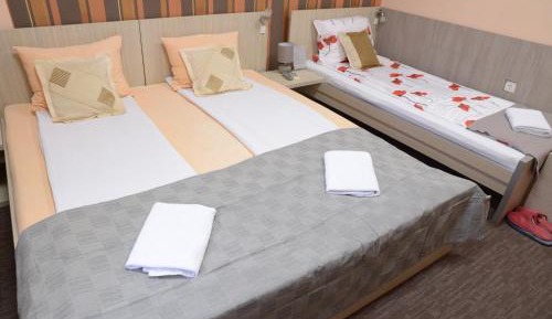 Basic Triple Room