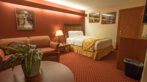 Queen Room with Kitchenette