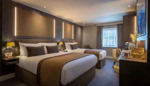 Superior Double & Single Room