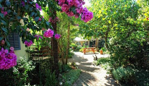 Villa with Garden View