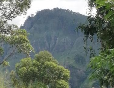 Double Room with Mountain View