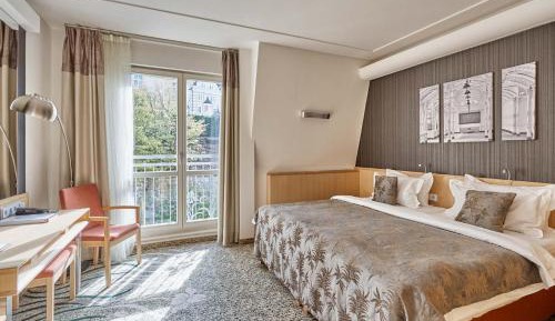 Standard Double Room with Wellness access