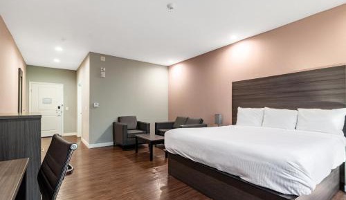 Standard Single Room - Non Smoking