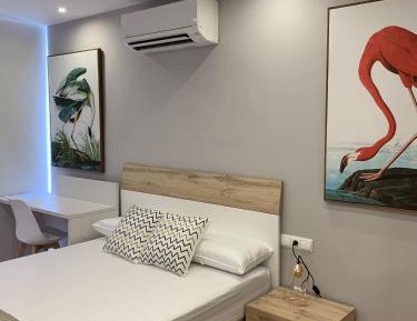 Duplex Apartment