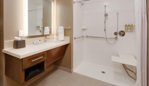 Suite - Mobility Access Roll in Shower/Non-Smoking