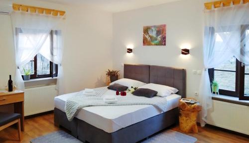 Deluxe Double or Twin Room with River View