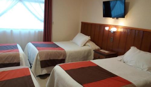 Premium Quadruple Room