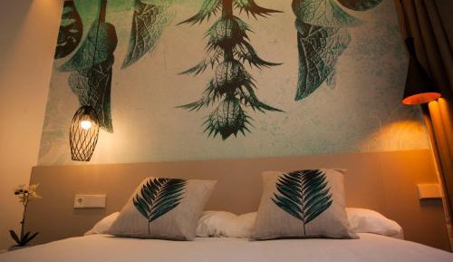 Large Single Room