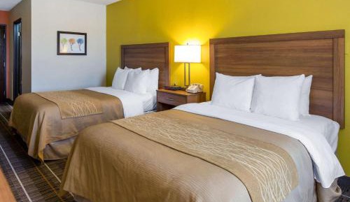 Double Room with Two Double Beds - Non-Smoking