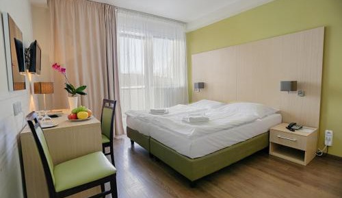 Superior Double or Twin Room [Central]