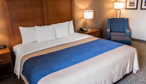 King Room with Roll-In Shower - Disability Access