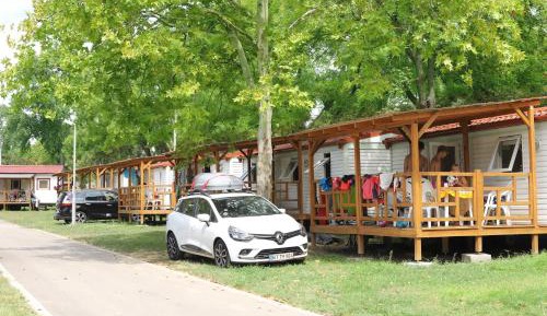 Mobile Home