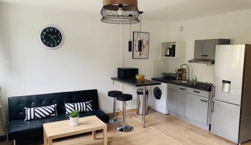 Studio Apartment
