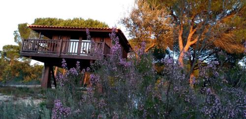 Deluxe Bungalow with Garden View