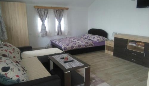 Deluxe Double or Twin Room with City View