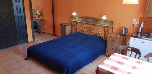 Studio with Kitchenette and Terrace