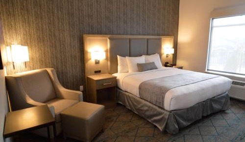 King Room with Mobility Accessible Roll-In Shower