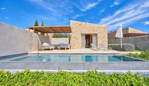 Villa Deluxe ( with private swimming pool )