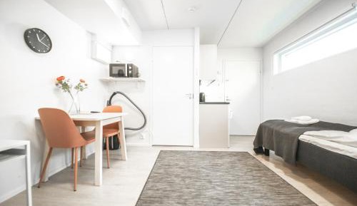 Basement Studio with Sauna