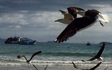 Apartment with Mountain View