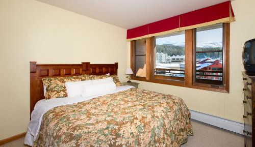 Deluxe One-Bedroom Apartment