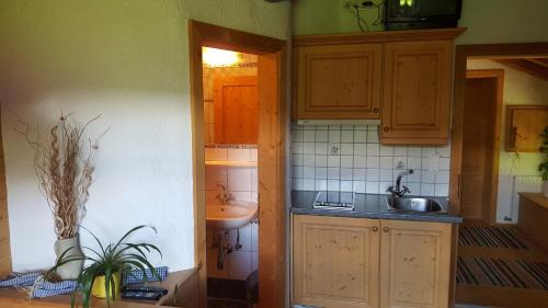 One-Bedroom Apartment "Hemerkogel"