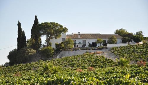 Eight-Bedroom House