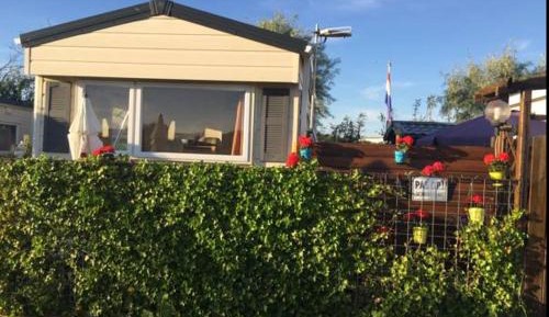 Mobile Home