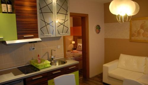 Luxury One-Bedroom Apartment