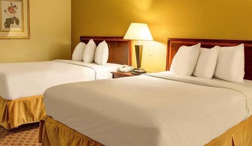 Double Room with Two Double Beds - Accessible/Non-Smoking