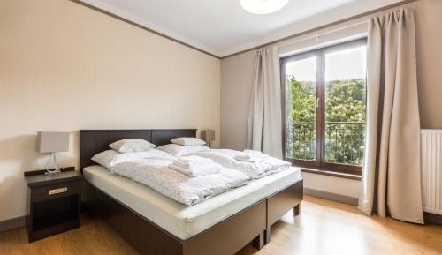 Deluxe Double or Twin Room with River View