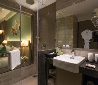 Deluxe Double or Twin Room with City View