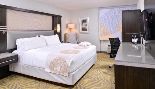 Standard King Room