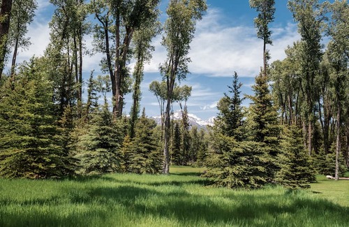 Jackson Hole Villa | Split Creek Ranch