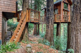 Woodacre Other | A treehouse in the sky. A home in the redwoods.