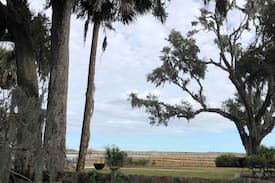 Savannah Cabin | Gardenia Cottage, Talahi Island, Savannah, GA