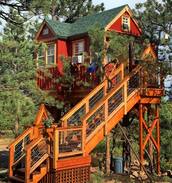 Lyons Other | Little Red Treehouse